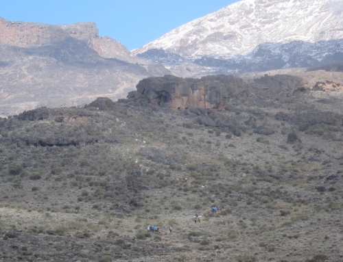 Niet iedereen kan de top van Kilimanjaro bereiken