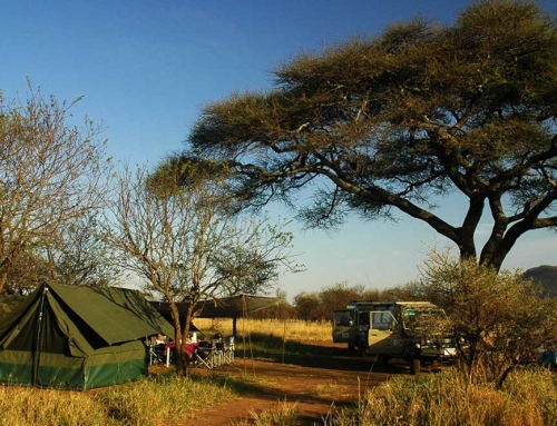 Onze National Geographic reistip: Kies op safari voor een SPECIAL campsite in de nationale parken van Tanzania!