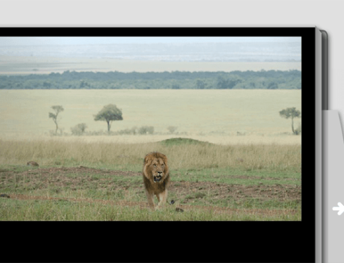 Tent safari Kenia en Tanzania – Linda de Vries